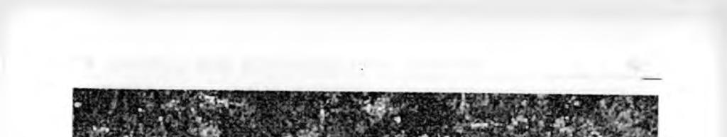 Z. Perski - Zakres interpretowalnośd