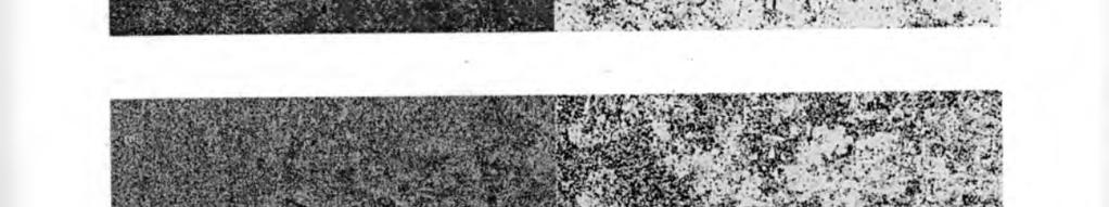 93) c) W RZESIEŃ + PA Ź D ZIE R N IK (03.0993-12.11.93) Ryc. 3.
