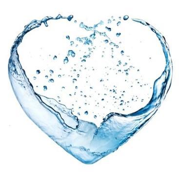 Znaczenie twardości wody Spożywanie wody miękkiej może być niekorzystne szczególnie dla osób cierpiących na choroby serca.