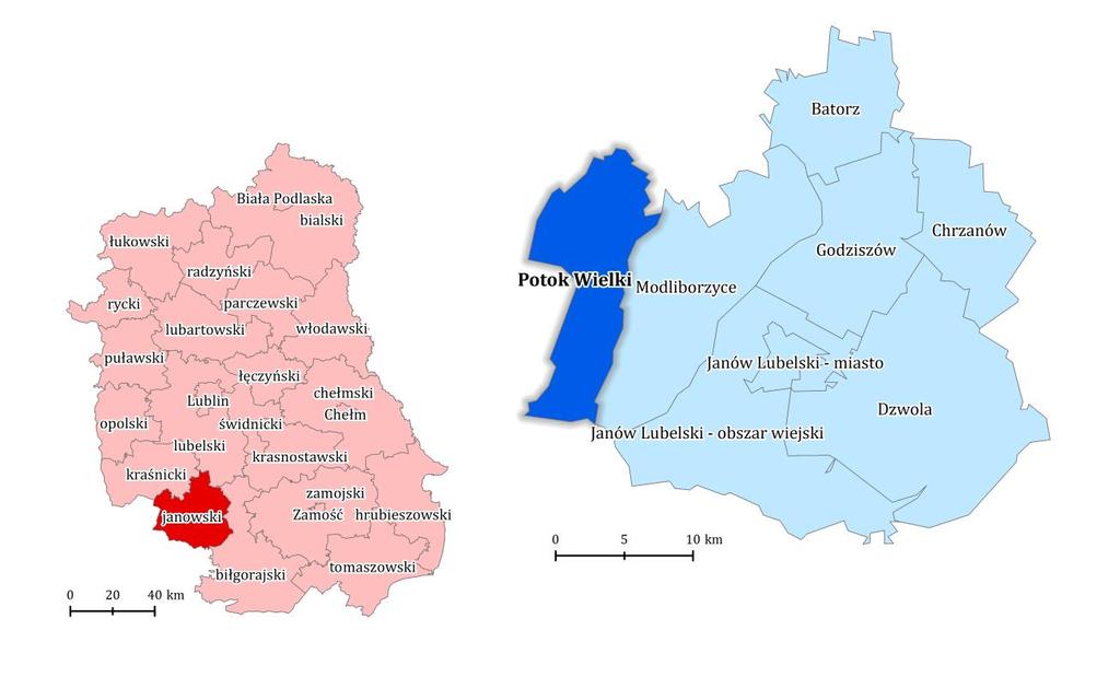 2. DIAGNOZA CZYNNIKÓW I ZJAWISK KRYZYSOWYCH W GMINIE POTOK WIELKI ORAZ SKALA I CHARAKTER POTRZEB REWITALIZACYJNYCH 2.1.