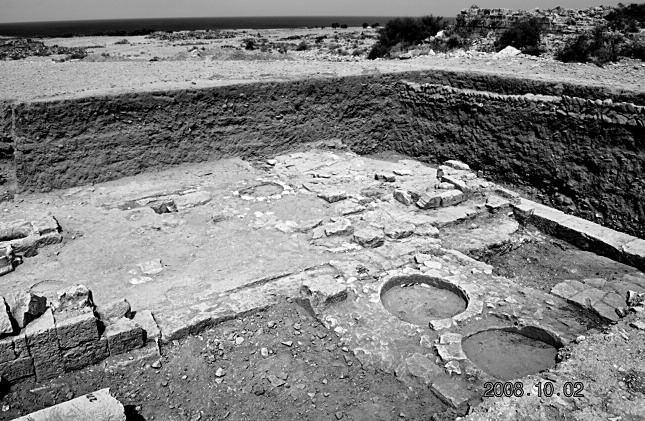 PLATE 21 Fig. 56. view of the area excavated in 2008 in the eastern part of the insula (Photo Polish Archaeological Mission to Ptolemais). ryc. 56. Widok obszaru badanego w 2008 r.