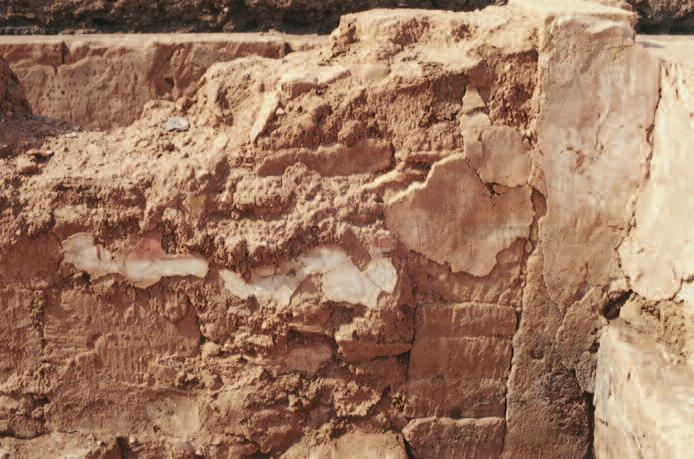 Polish Archaeological Mission to Ptolemais). ryc. 80.