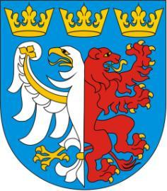 Data: Miejsce: Organizatorzy: Kontakt: Sędzia główny: Zapisy: Opłata startowa: Rejestracja: Uczestnicy: 3.06.2017r. Powiatowa Hala Sportowa, ul. św.