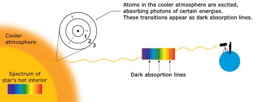 Powstawanie linii w widmach gwiazd Linie absorpcyjne (emisyjne też) powstają w