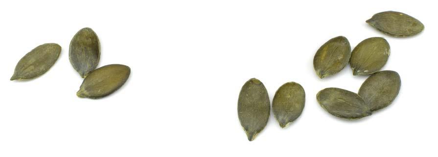 0 g Chia szałwia hiszpańska 117-000PO 0 g 0 5
