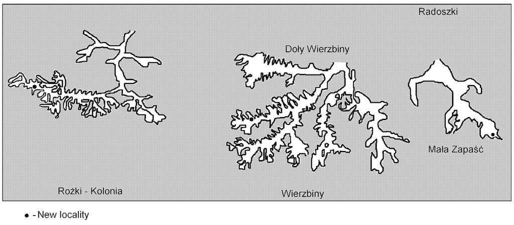 99 Polystichum-aculeatum-(L.)-Roth-in-the-Sandomierska-Upland 99 Fig. 1. Localization of Polystichum aculeatum in loess ravines in studied area Ryc. 1. Lokalizacja Polystichum aculeatum w w¹wozach lessowych na badanym obszarze 3.