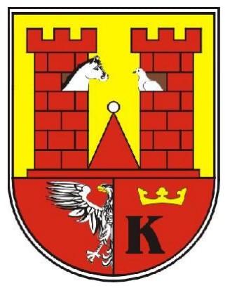 STRATEGIA ROZWIĄZYWANIA PROBLEMÓW SPOŁECZNYCH