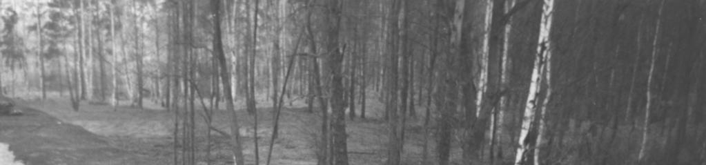 od góry do podnóża skarpy. Została ona zakotwiona w rowkach kotwiących na szczycie skarpy (rys. 11).