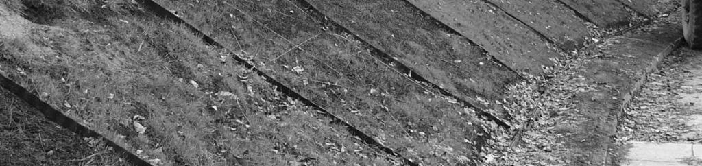 [2]) W Instytucie Badawczego Dróg i Mostów przeprowadzono badania skuteczności geosyntetycznych materiałów przeciwerozyjnych. Poletka doświadczalne usytuowano na skarpie o wystawie południowej.