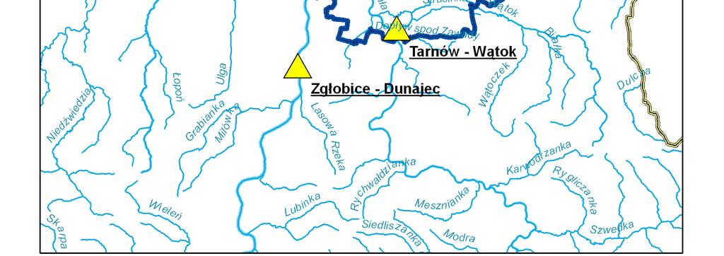 paciorkowców kałowych). Rys.7.