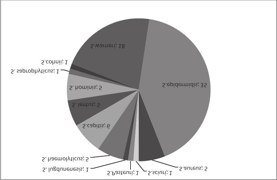 Higiena protez narzędzia statystyczne dla zmiennych nieparametrycznych (test Kruskala -Wallisa). W analizie danych przyjęto poziom istotności p 0,05. Wyniki Fig. 1.