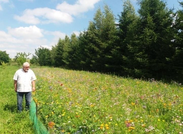 nr 70(II)/ P I Pszczoły ważne dla producentów rzepaku Rzepak potrzebuje pszczół, ale i pszczoły rzepaku.