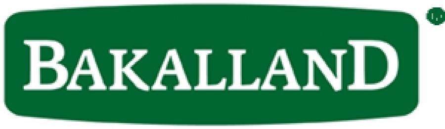 Wybrane dane finansowe Bakalland S.A.
