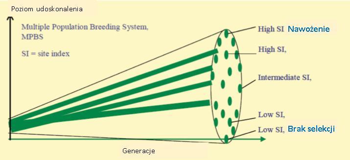 Strategie hodowlane (wiele