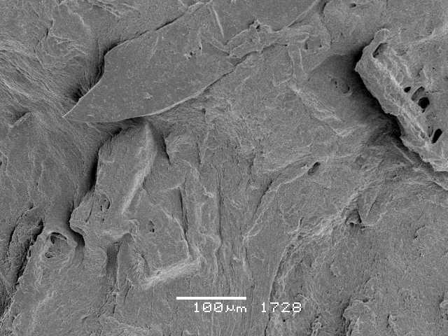 Mikrostruktura bazowego polimeru wykazuje warstwową budowę o lamelarnym ułożeniu krystalitów.