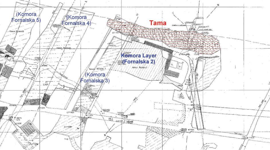 26 Agnieszka Maj Rys. 1. Lokalizacja tamy w komorze Layer (Fornalska-2) na poziomie VII kopalni Wieliczka W przebudowanej komorze Layer już od 1974 roku prowadzone były pomiary geodezyjne.