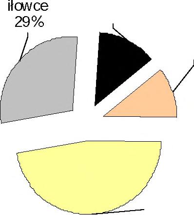 Podobnie jest wykształcona górna część profilu warstw rudzkich, natomiast dolna oraz warstwy siodłowe to głównie piaskowce, których udział w profilu wynosi średnio 60%.
