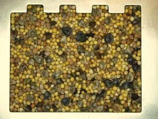 Nasiona mieszanka "topsoil" (83011863) 2,93mm 0,66kg/l 0,77 8.0 37 720 9.0 37 720 10.0 37 720 12.0 40 800 15.0 45 800 16.0 48 800 18.0 56 800 10.0 22 600 12.0 22 600 15.