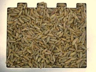 Żyto (niezaprawione) (83010338) 2,88mm 0,73kg/l 0,75 12.0 38 600 A 1 600 1 25 500 1 35 400 15-3 15.0 37 720 A 1 720 1 25 600 1 35 500 17-2 16.0 37 720 A 1 720 1 24 600 1 34 500 17-1 18.
