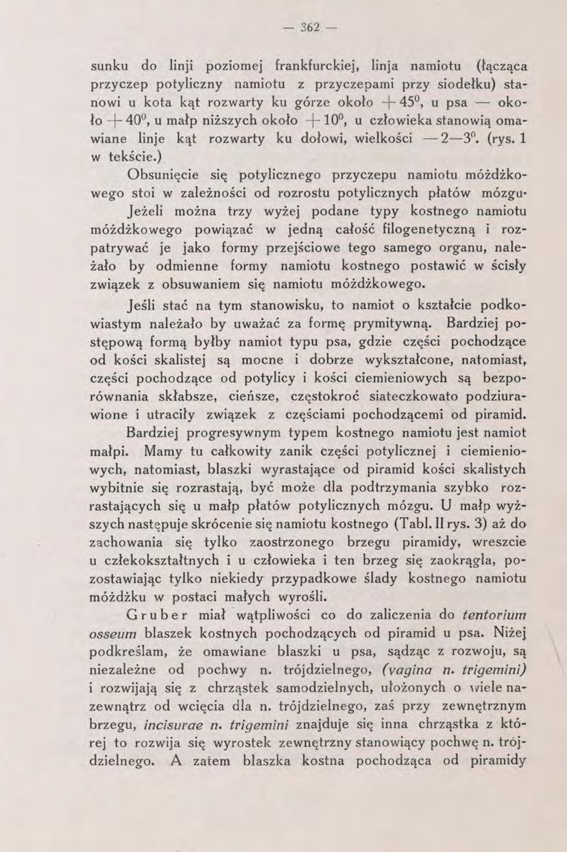 - 362 - sunku do linji poziomej frankfurckiej, linja namiotu (łącząca przyczep potyliczny namiotu z przyczepami przy siodełku) stanowi u kota kąt rozwarty ku górze około 45, u psa około "[-400, u