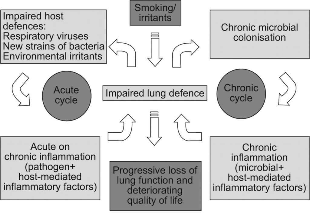 Two distinct infection cycles in chronic obstructive pulmonary disease.