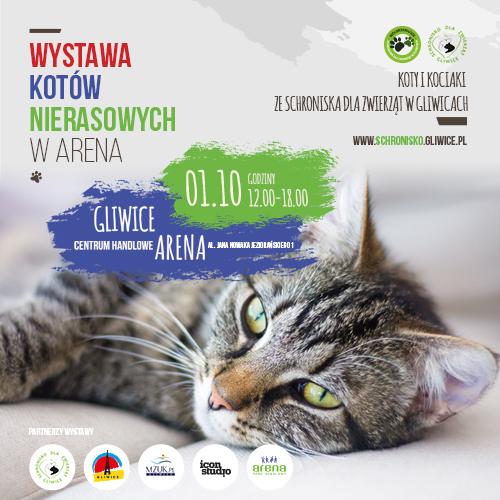 Iwona Janik, rzecznik Miejskiego Zarządu Usług Komunalnych w Gliwicach. (mf) ZDROWE GLIWICE. Chroń serce i tarczycę!