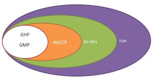 Podstawowe wymagania higieniczne Dokumentacja proporcjonalna do charakteru i rozmiaru przedsiębiorstwa, np.: - plan i zapisy dot.