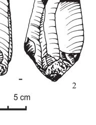 8) krzemień narzutowy (rys. D. K. Płaza) Fig.
