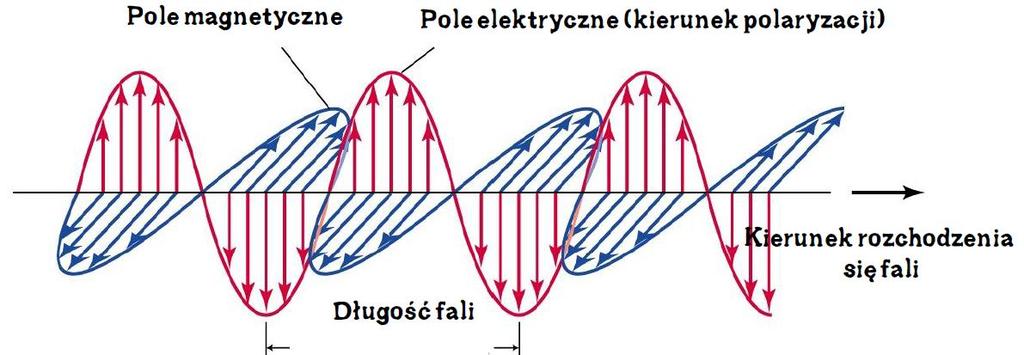 W5. Polaryzacja fotonu Foton jest falą