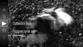 Wyświetlanie filmów Zarejestrowane filmy można wyświetlać na ekranie. Przejdź do trybu wyświetlania. Naciśnij przycisk 1. Zostanie wyświetlone ostatnio wykonane zdjęcie.