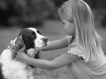 Za pomocą przycisków op lub pokrętła Â wybierz tryb Fotografowanie, a następnie naciśnij przycisk m. Zrób zdjęcie.