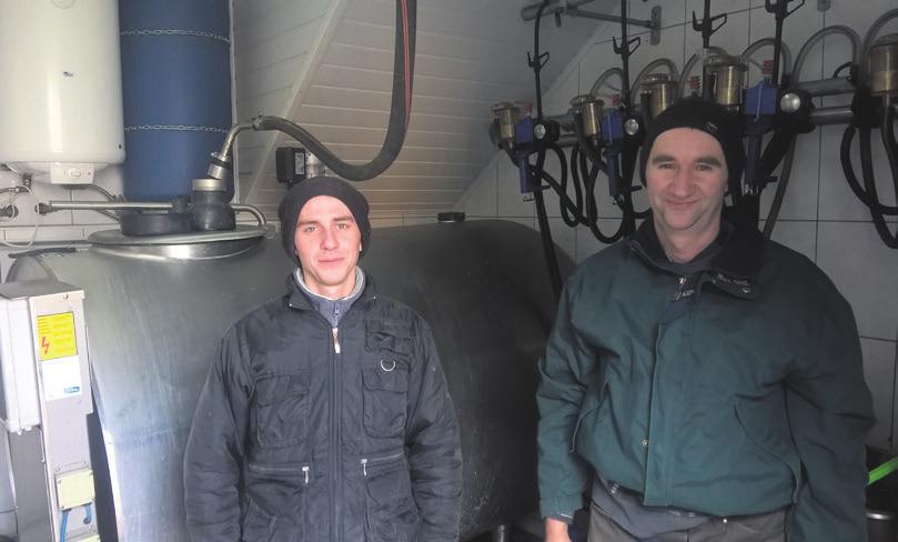Urodzone cielęta odznaczają się wysoką zdrowotnością, bardzo dobrą budową, niosącą potencjał produkcyjny.