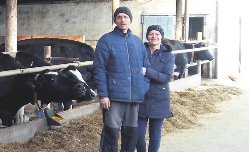 Jest najwydajniejszą sztuką w oborze, bezproblemową, zaciela się po pierwszym zabiegu. Bardzo mocne nogi i pięknie zawieszone wymię. Dzięki genetyce WCHiRZ, osiągam bardzo dobre wyniki w produkcji.