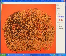 Przykładowe zdjęcie próbki zanieczyszczonego ziarna i analiza za pomocą aplikacji komputerowej Leaf Example picture of an impure grain sample, and analysis using the Leaf application Program Leaf