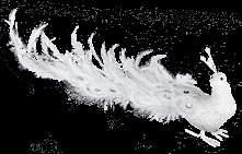 00* 8cm szkło LŚNIĄCA 8.40* 8cm szkło LŚNIĄCA 8.