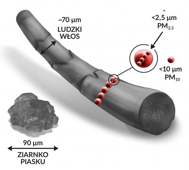 Pył zawieszony PM 2,5 to bardzo drobne cząstki: o średnicy mniejszej niż 2,5 mikrometra, które mogą docierać do górnych dróg oddechowych, płuc oraz przenikać do krwi.