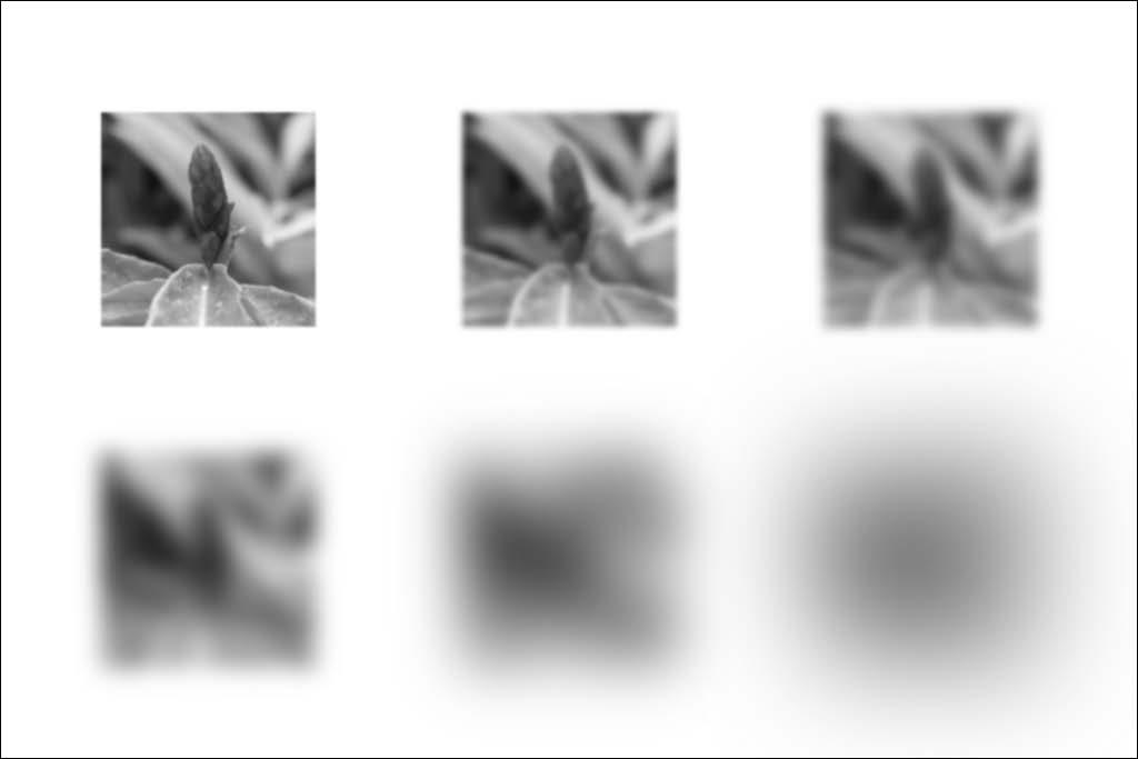 Rozdział 17. Szum, ziarno, kurz, pikselizacja i postrzępione krawędzie 575 Rysunek 17.10. Na liściach za kwiatem zastosowano Gaussian Blur (Rozmycie gaussowskie) o sześciu różnych wartościach.