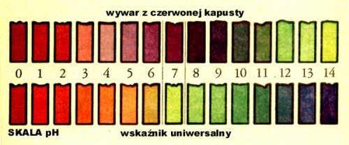 3. Kapusta jako wskaźnik Wskaźniki ph (indykatory) są to związki chemiczne, które przyjmują określone barwy w zależności od ph środowiska, w jakim się znajdują.