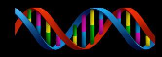 v Ekspozycja modelowych fragmentów DNA na promieniowanie UV/X.