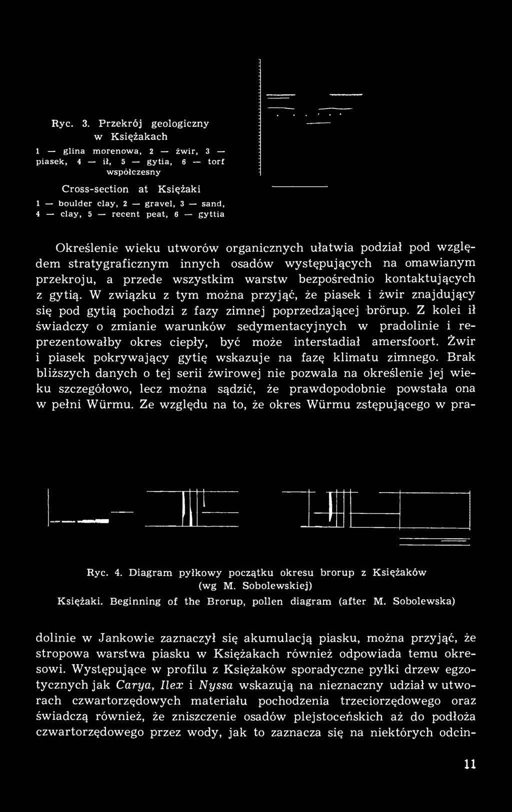 Z kolei ił świadczy o zmianie warunków sedymentacyjnych w pradolinie i reprezentowałby okres ciepły, być może interstadial amersfoort. Żwir i piasek pokrywający gytię wskazuje na fazę klimatu zimnego.