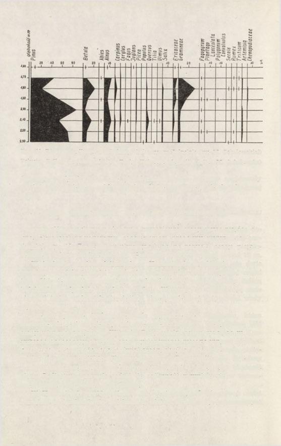 Ryc. 12. Diagram pyłkowy z młodszego holocenu w Polusinie (wg M. Sobolewskiej) Polusin. Pollen diagram of the Early Holocene deposits (after M.