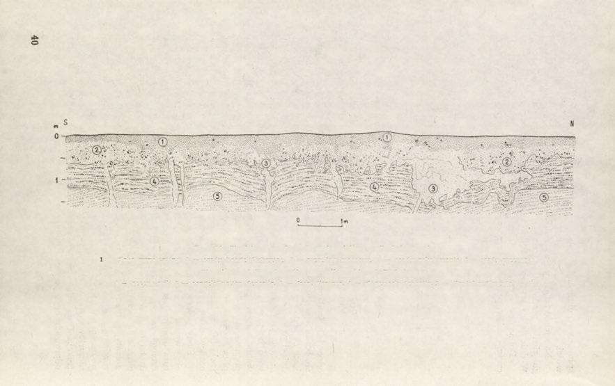 Ryc. 19.