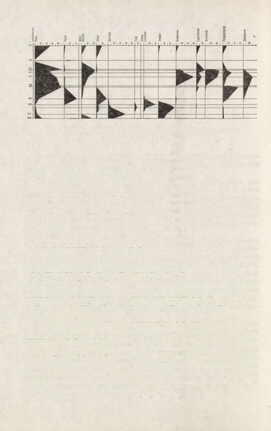 Ryc. 25. Diagram pyłkowy z Piasków Starych (wg M. Sobolewskiej) Piaski Stare.
