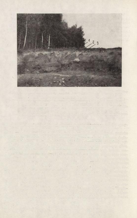 Fot. 5. Sławęcin.