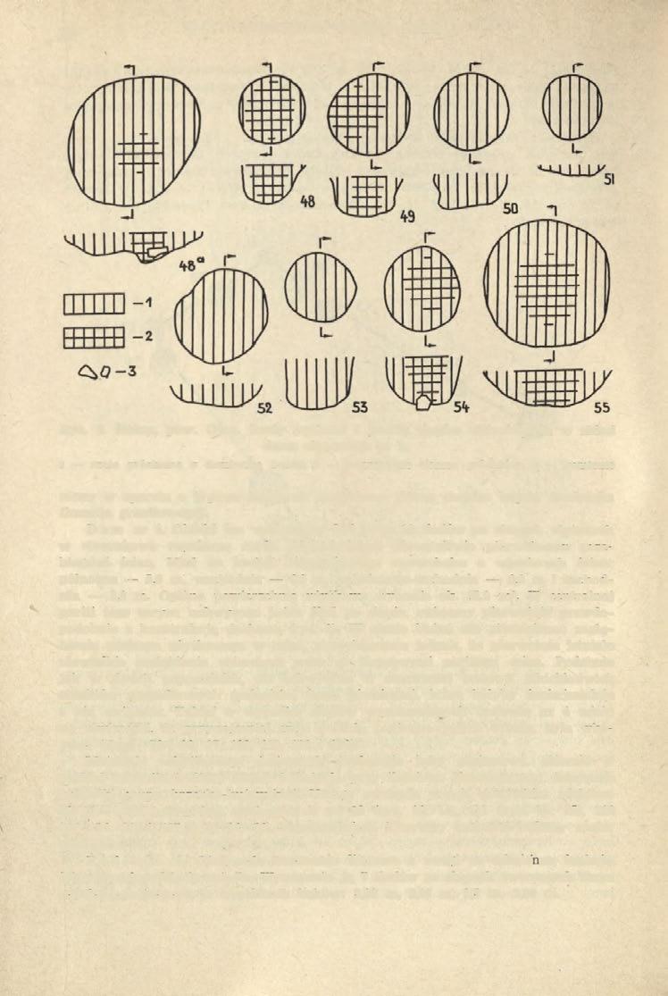 46 WŁODZIMIERZ WOJCIECHOWSKI Ryc. 8. Siciny, pow. Góra.
