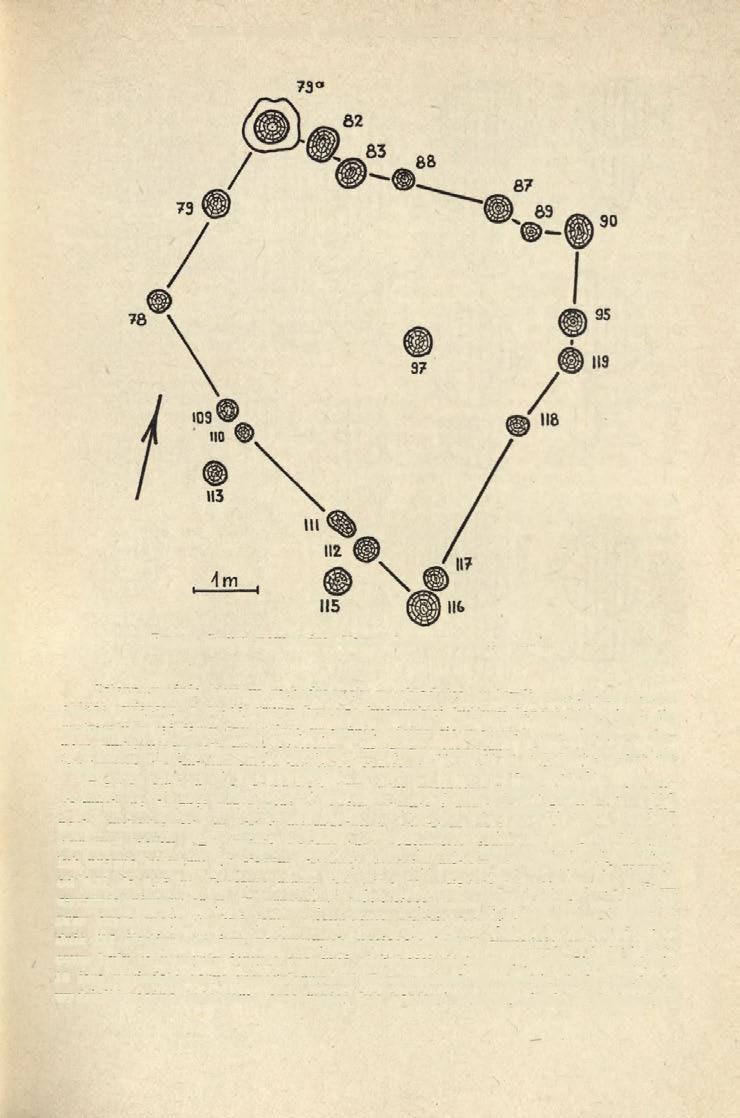 OSADA KULTURY AMFOR KULISTYCH W SICINACH 47 Ryc. 9. Siciny, pow. Góra.
