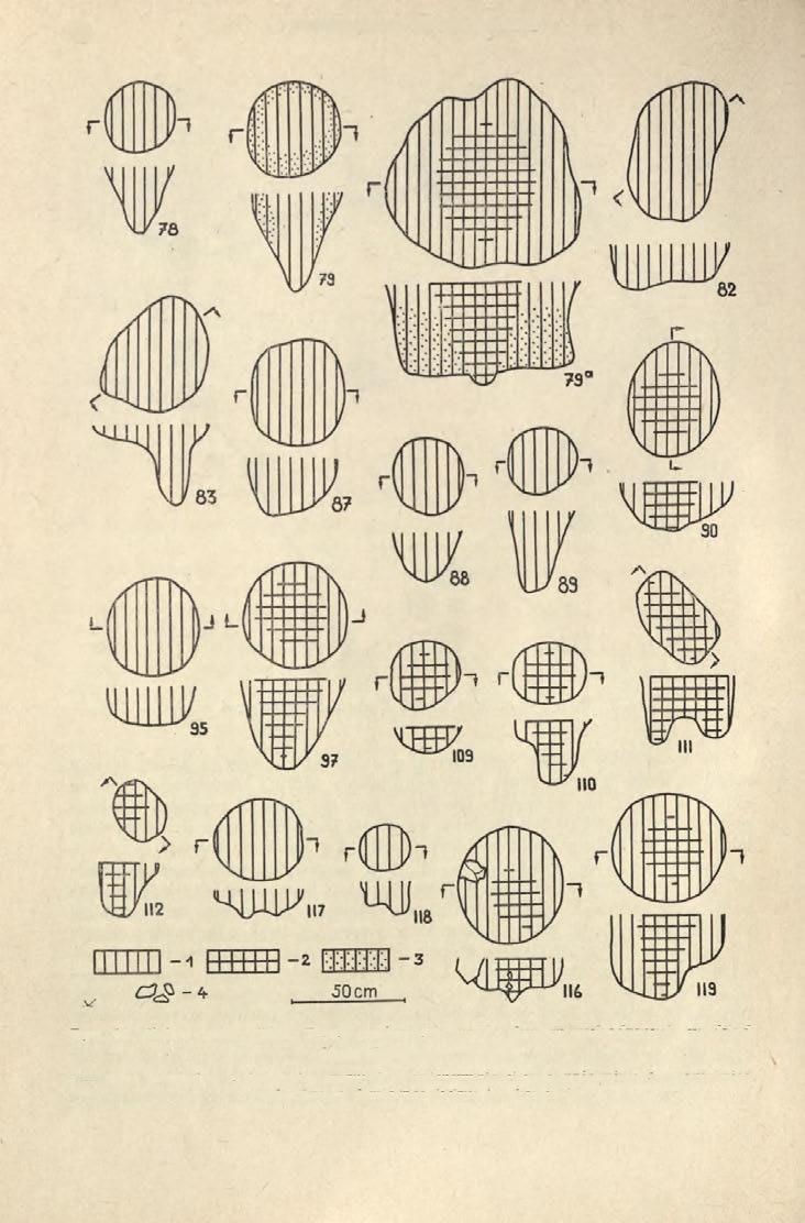 48 WŁODZIMIERZ WOJCIECHOWSKI Ryc. 10.