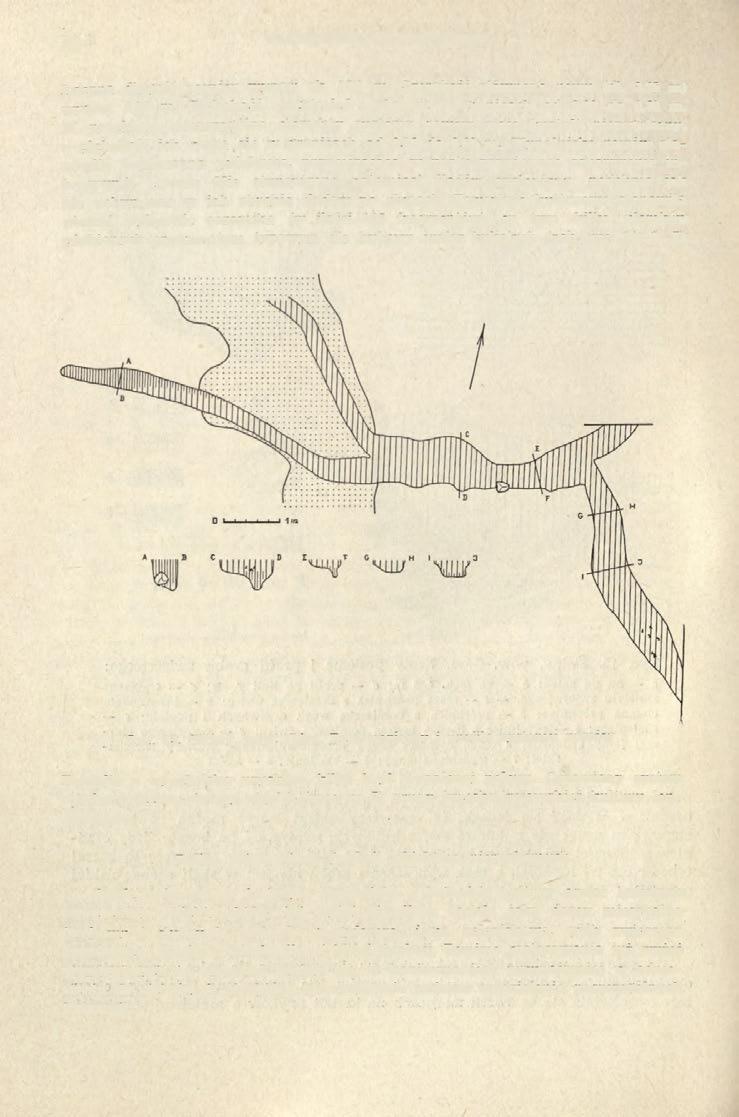 52 WŁODZIMIERZ WOJCIECHOWSKI Łączna długość rowów wynosi ok. 18,0 m. Szerokość głównego rowu (dł. 3,75 m) wynosi 0,85 m. Szerokość rozgałęzień waha się w granicach od 0,30 do 0,70 m.