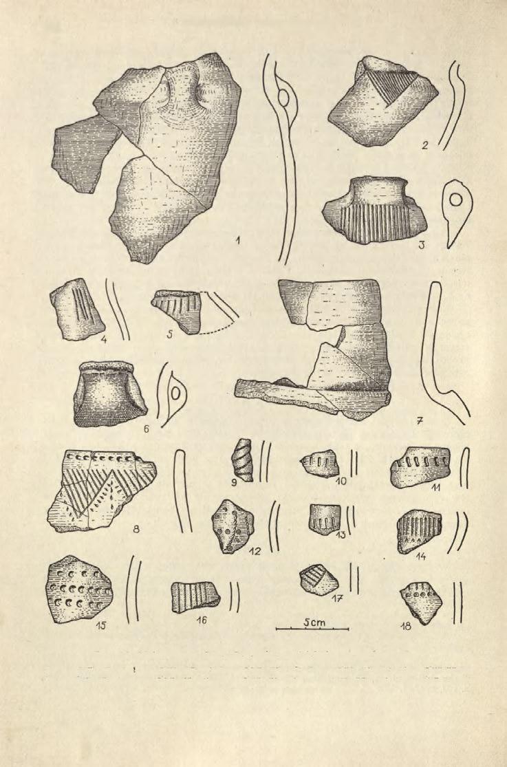 58 WŁODZIMIERZ WOJCIECHOWSKI Ryc. 14. Siciny, pow. Góra.