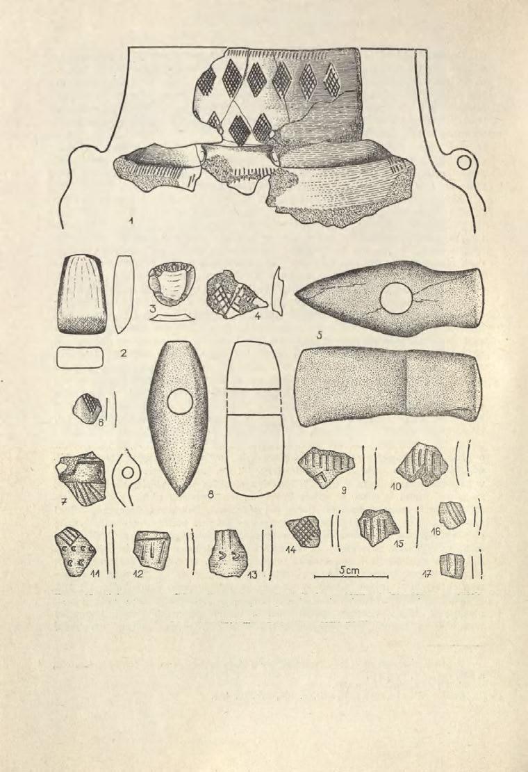 60 WŁODZIMIERZ WOJCIECHOWSKI Ryc. 15.
